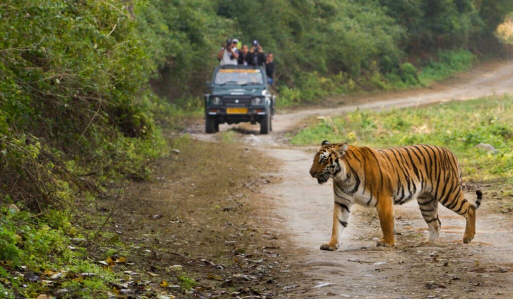 jim-corbett-tiger-national-park-rsindia-tourism